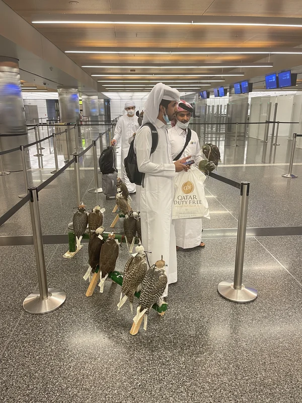 AgriteQ Doha - Qatar