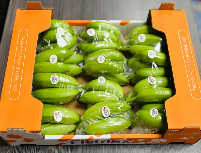 Baby Banana - Image 3