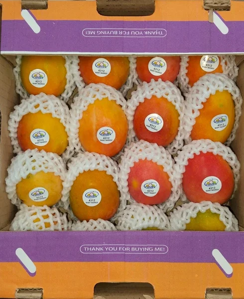Baby Mango - Image 4