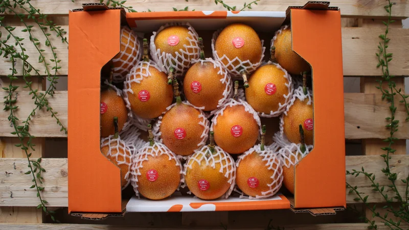 Sweet Passion Fruit - Image 2