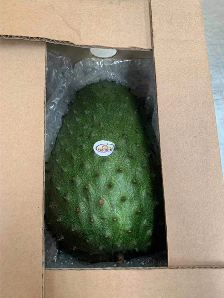 Soursop