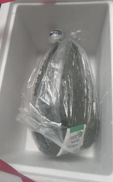 Soursop - Image 3
