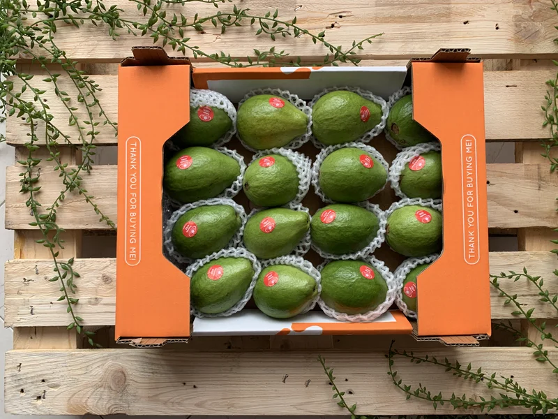 Guava - Image 2