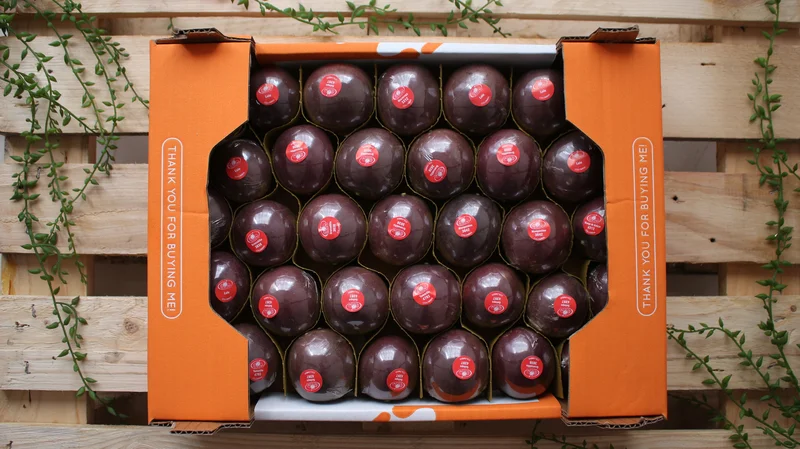 Purple Passion Fruit - Image 2