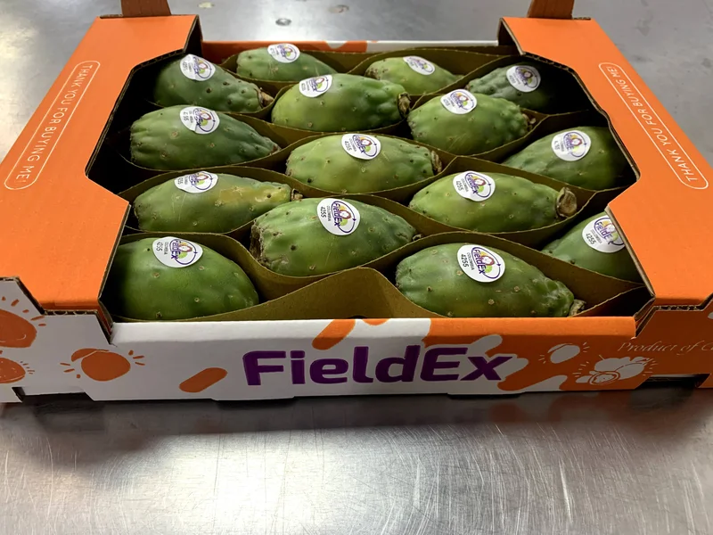 Cactus Fig