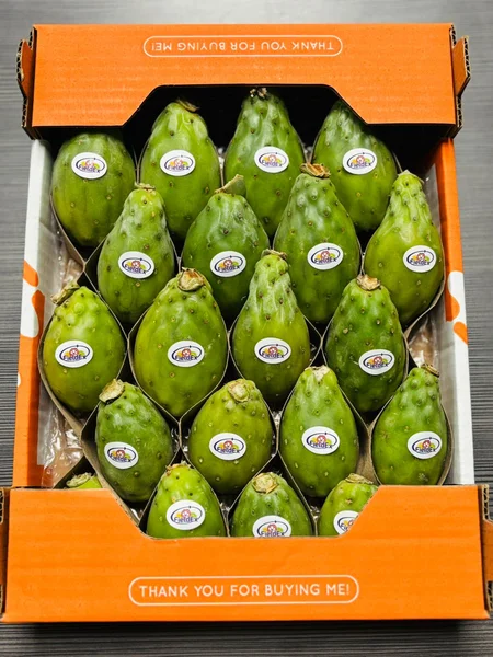 Cactus Fig - Image 2