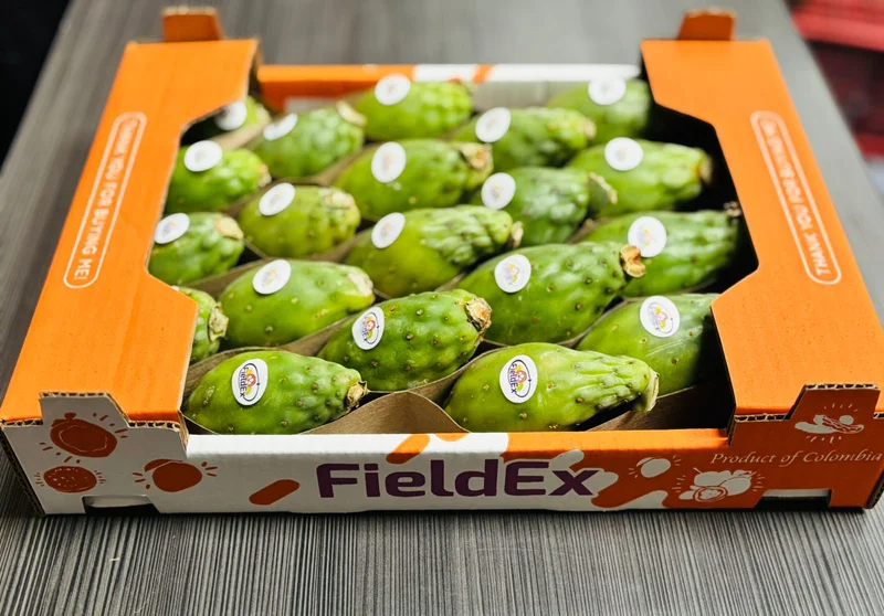 Cactus Fig - Image 4
