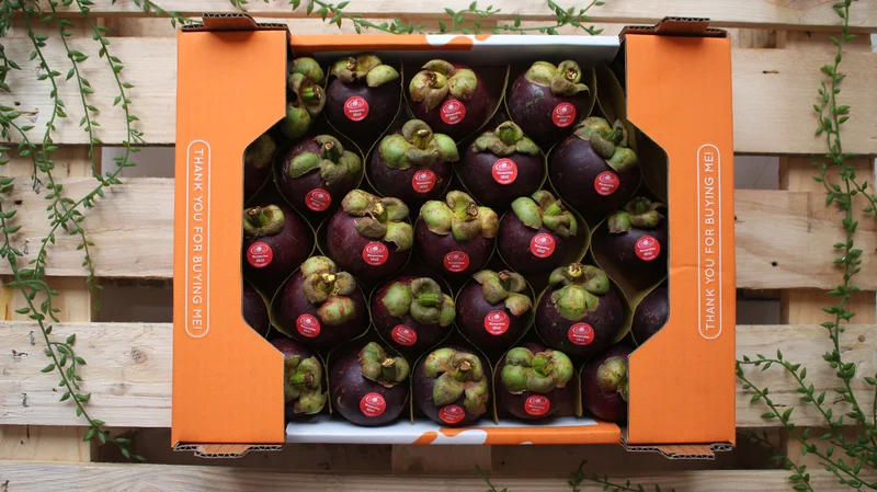 Mangosteen - Image 2