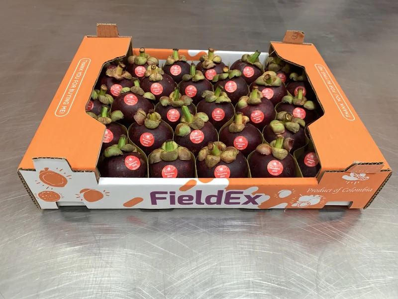 Mangosteen - Image 3