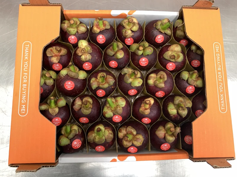 Mangosteen - Image 4