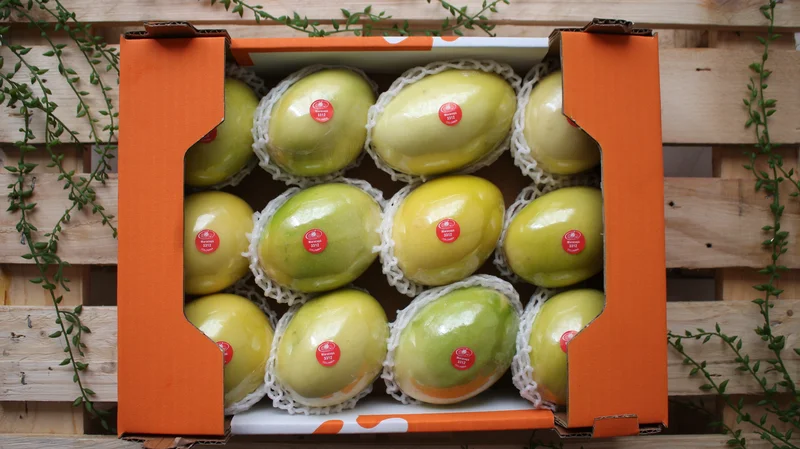 Passion Fruit - Image 2