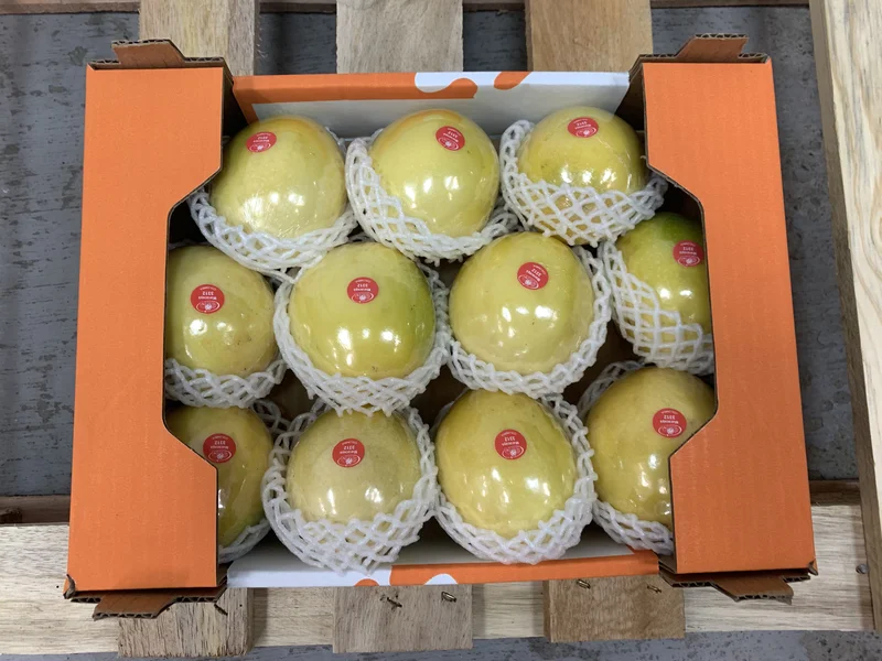 Passion Fruit - Image 3