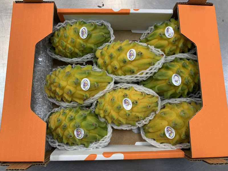 Dragon Fruit - Image 3