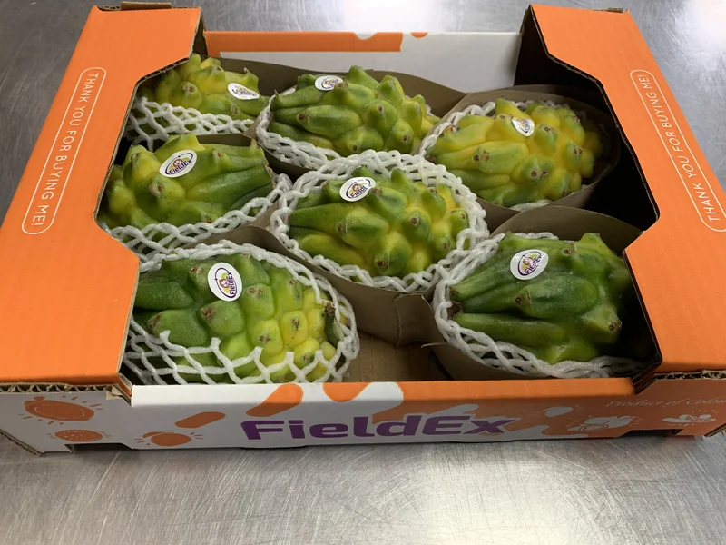 Dragon Fruit - Image 4