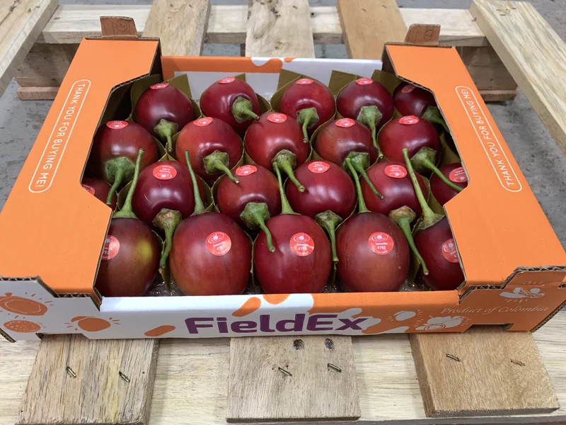Tamarillo - Image 4