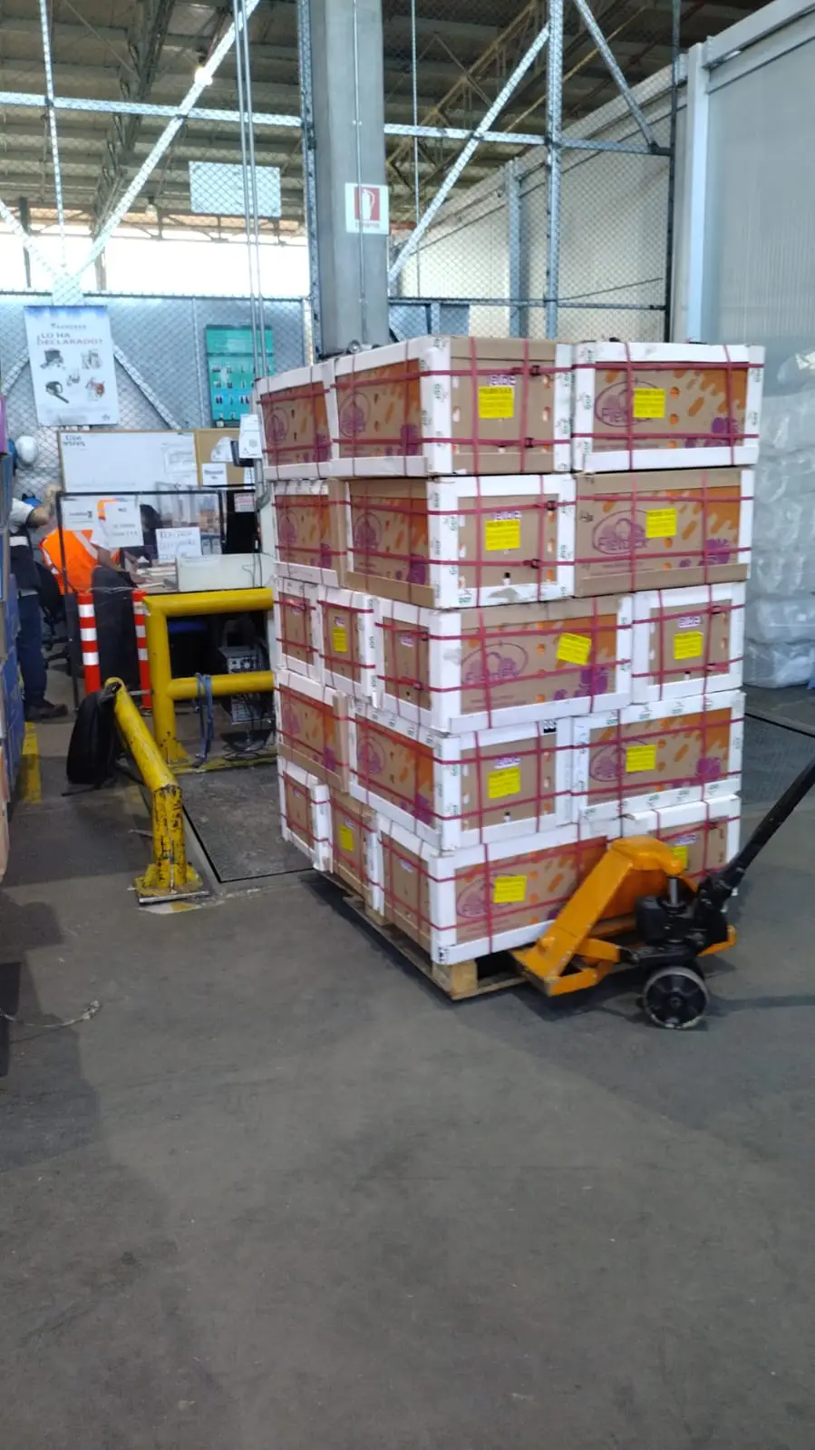 Global export