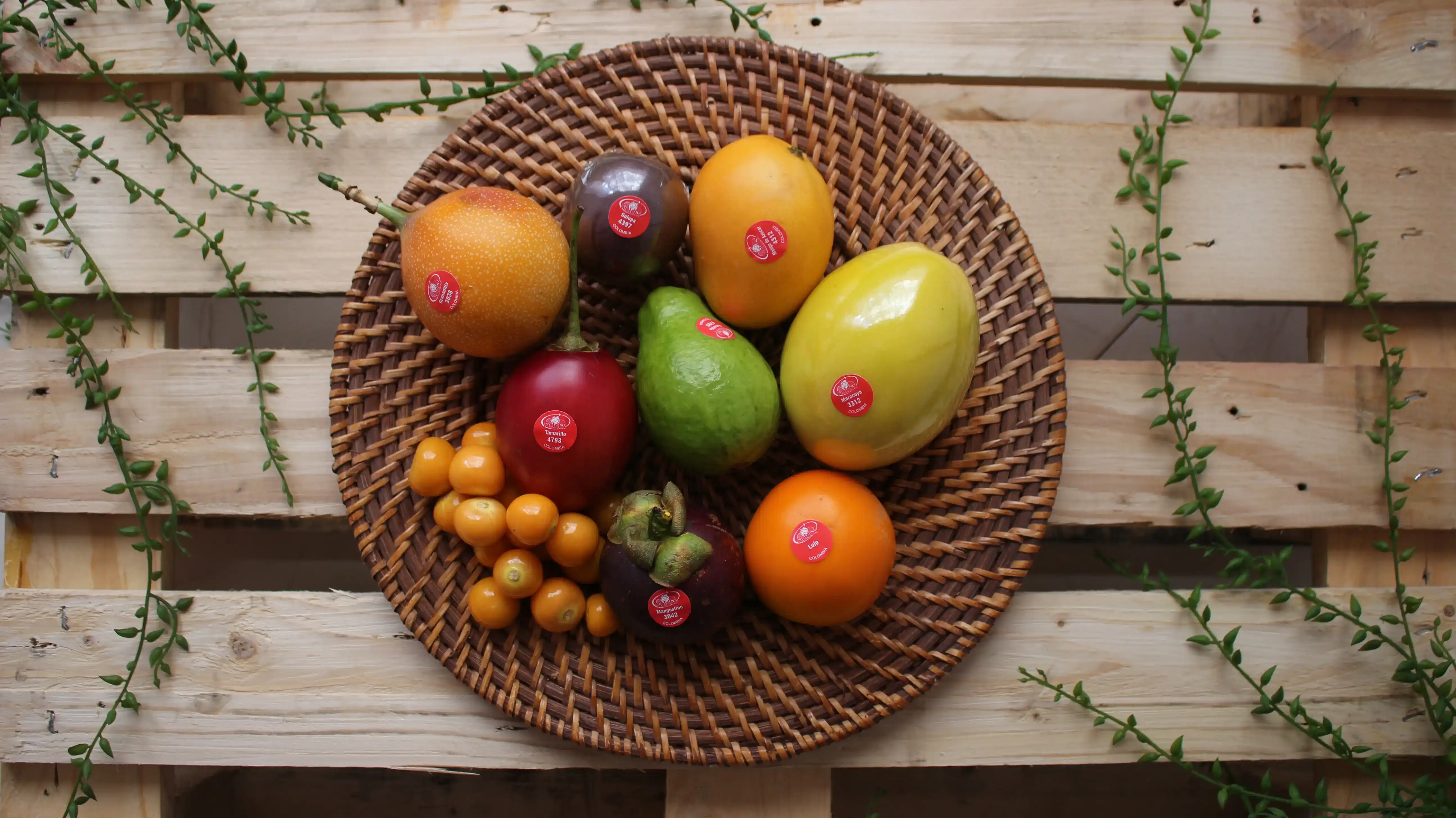 Colombian Exotic Fruits