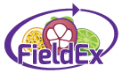 fieldex